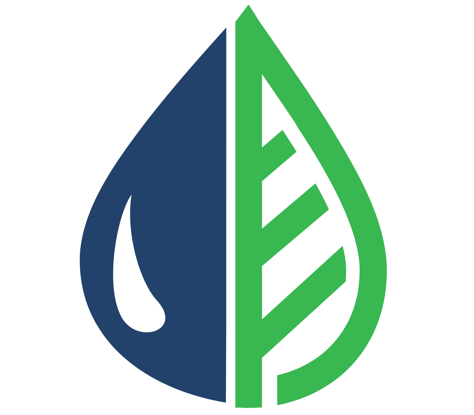 Picture of Equipe Clam