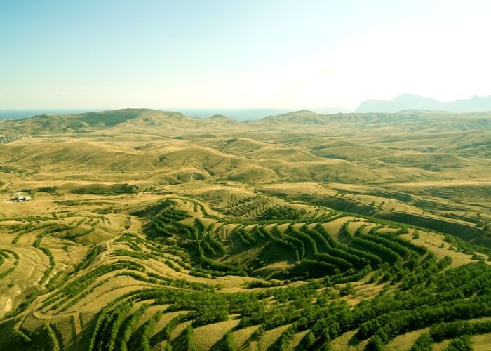 PLANOS DE FECHAMENTO EM NÍVEL CONCEITUAL E EXECUTIVO