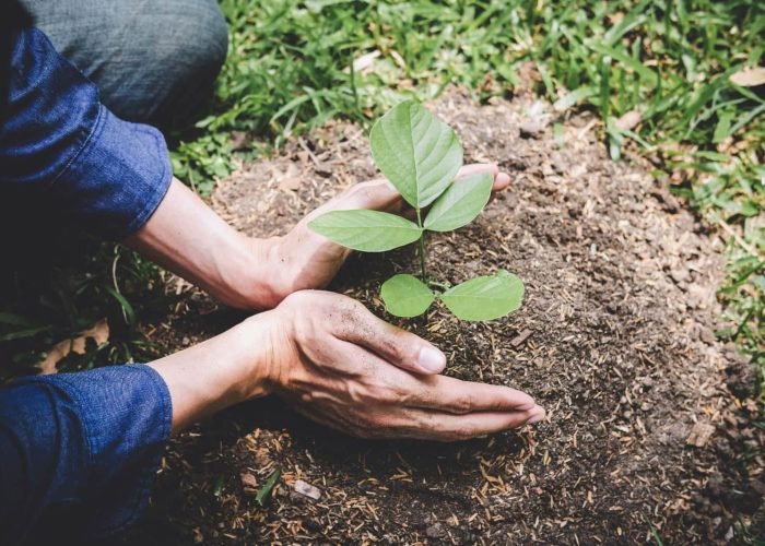 Descaracterização de estruturas geotécnicas