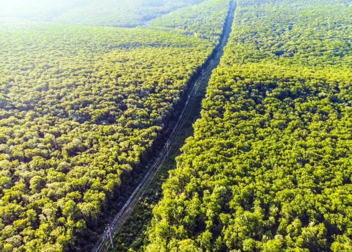 Monitoramento ambiental
